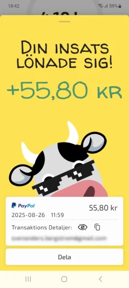 ett exempel på en utbetalning på 55,80 kr till Paypal för att ha spelat mobilspel
